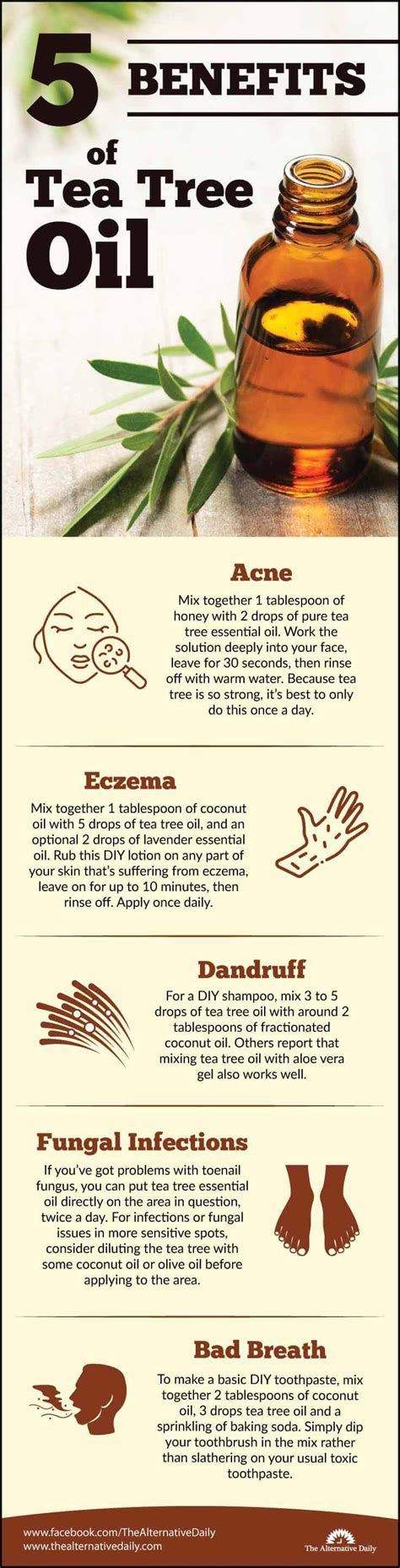 pure taboo terms and conditions|The Essential Guide to Tea Tree Oil: Benefits, Uses, and Wise .